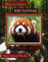 Red Pandas (Discover) - Alan Griffin