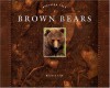 Brown Bears - Melissa Gish