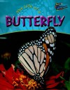 The Life of a Butterfly - Clare Hibbert