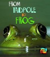 From Tadpole To Frog - Anita Ganeri