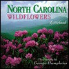 North Carolina Wildflowers - George Humphries