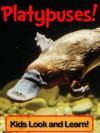 Platypuses! Learn About Platypuses and Enjoy Colorful Pictures - Look and Learn! (50+ Photos of Platypuses) - Becky Wolff