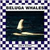 Beluga Whales - John F. Prevost