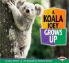 A Koala Joey Grows Up - Joan Hewett, Richard Hewett