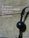 Brethren, Life In Bondage: Book Two (Brethren, #2) - F.B. Peaches