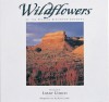 Wildflowers of the Plateau and Canyon Country - Larry Ulrich, Susan Lamb