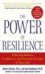 The Power of Resilience: Achieving Balance, Confidence, and Personal Strength in Your Life - Sam Goldstein