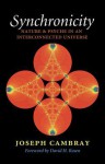 Synchronicity: Nature and Psyche in an Interconnected Universe - Joseph Cambray, David H. Rosen