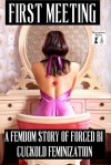 First Meeting: A Femdom Story of Forced Bi Cuckold Feminization - Amy Dillon