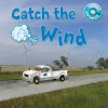 Catch The Wind - Anne Johnson