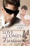 Love Comes in Darkness - Andrew Grey