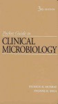 Pocket Guide to Clinical Microbiology - Patrick R. Murray