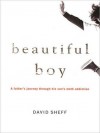 Beautiful Boy: A Father's Journey through His Son's Addiction (MP3 Book) - David Sheff, Anthony Heald