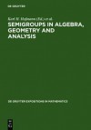 Semigroups in Algebra, Geometry and Analysis - Karl H. Hofmann, Jimmy D. Lawson, Ernest B. Vinberg