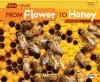 From Flower to Honey - Robin Nelson