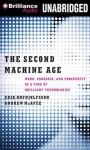 The Second Machine Age: Work, Progress, and Prosperity in a Time of Brilliant Technologies - Erik Brynjolfsson, Andrew McAfee