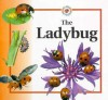 The Ladybug - Sabrina Crewe