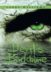 Devil's Backbone - Larry Williams