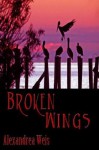 Broken Wings - Alexandrea Weis