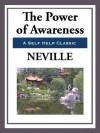 The Power of Awareness - Neville