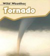 Tornado (Wild Weather (2nd Edition)) - Catherine Chambers