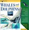 Whales And Dolphins (Insights) - Steve Parker