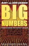 Big Numbers: A Mind Expanding Trip to Infinity and Back - John Gribben, Mary Gribben