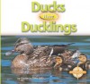 Ducks Have Ducklings - Elizabeth Dana Jaffe