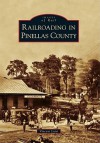 Railroading in Pinellas County - Vincent Luisi