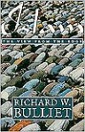 Islam: The View from the Edge - Richard W. Bulliet