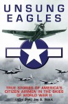 Unsung Eagles: True Stories of America's Citizen Airmen in the Skies of World War II - Jay A. Stout