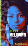 Meltdown - Scott Wallens