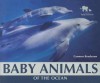 Baby Animals of the Ocean - Carmen Bredeson