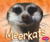 Meerkats (African Animals) - Jody Sullivan Rake