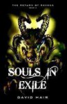 Souls in Exile - David Hair