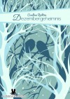 Dezembergeheimnis - Caroline Richter