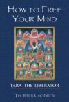 How To Free Your Mind: Tara The Liberator - Thubten Chodron