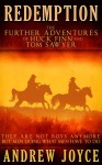 Redemption: The Further Adventures of Huck Finn and Tom Sawyer - Andrew Joyce