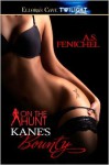 Kane's Bounty - A.S. Fenichel