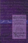 Meditations on the Soul: Selected Letters - Marsilio Ficino