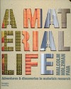 A Material Life: Adventures & Discoveries in Materials Research - Malcolm Holzman