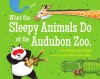 What the Sleepy Animals Do at the Audubon Zoo - Grace Millsaps, John Clark IV, Alyson Kilday, Ryan Murphy