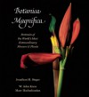 Botanica Magnifica: Portraits of the World's Most Extraordinary Flowers and Plants - Jonathan Singer, W. John Kress, Marc Hachadourian