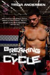 Breaking The Cycle (Hard Drive Series #1) - Tricia Andersen