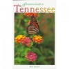 Adventure Guide to Tennessee - Blair Howard