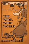 The Wide, Wide World - Elizabeth Wetherell