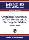 Complexes Associated To Two Vectors And A Rectangular Matrix - Andrew R. Kustin