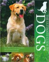 The Ultimate Guide to Dogs - David Alderton