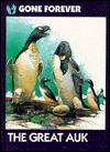 The Great Auk - Emily Crofford