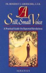 A Still Small Voice: A Practical Guide on Reported Revelations - Benedict J. Groeschel